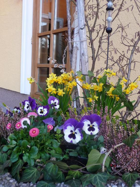 Ferienhotel Herzog Neumarkt am Wallersee Luaran gambar